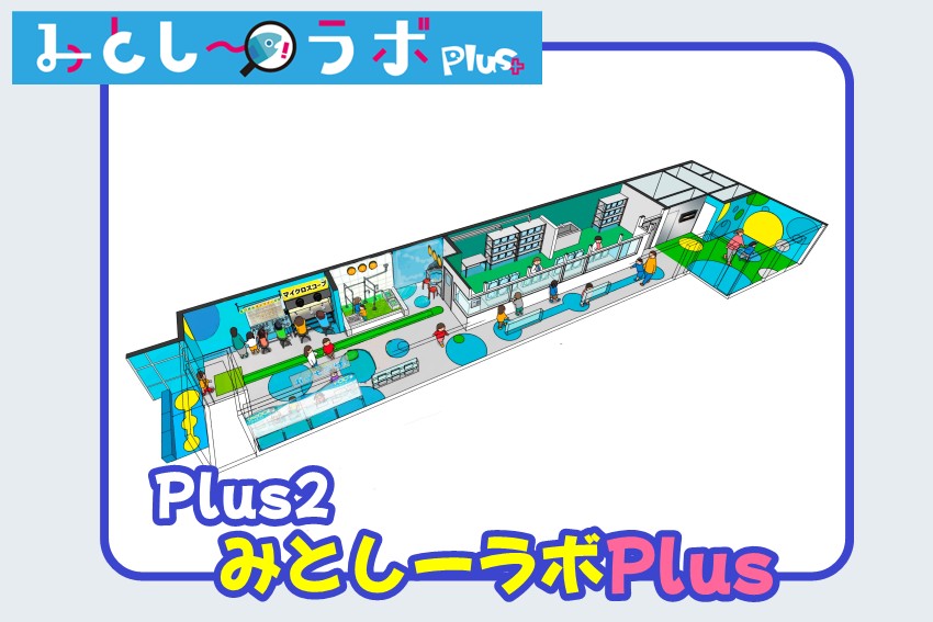 20250710tripleplus2-1