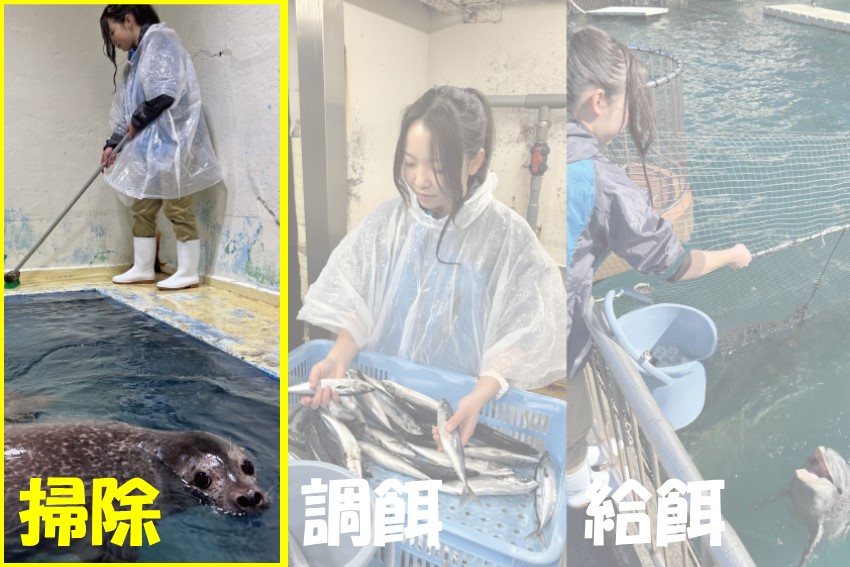 20260701manabu9gatsusouji