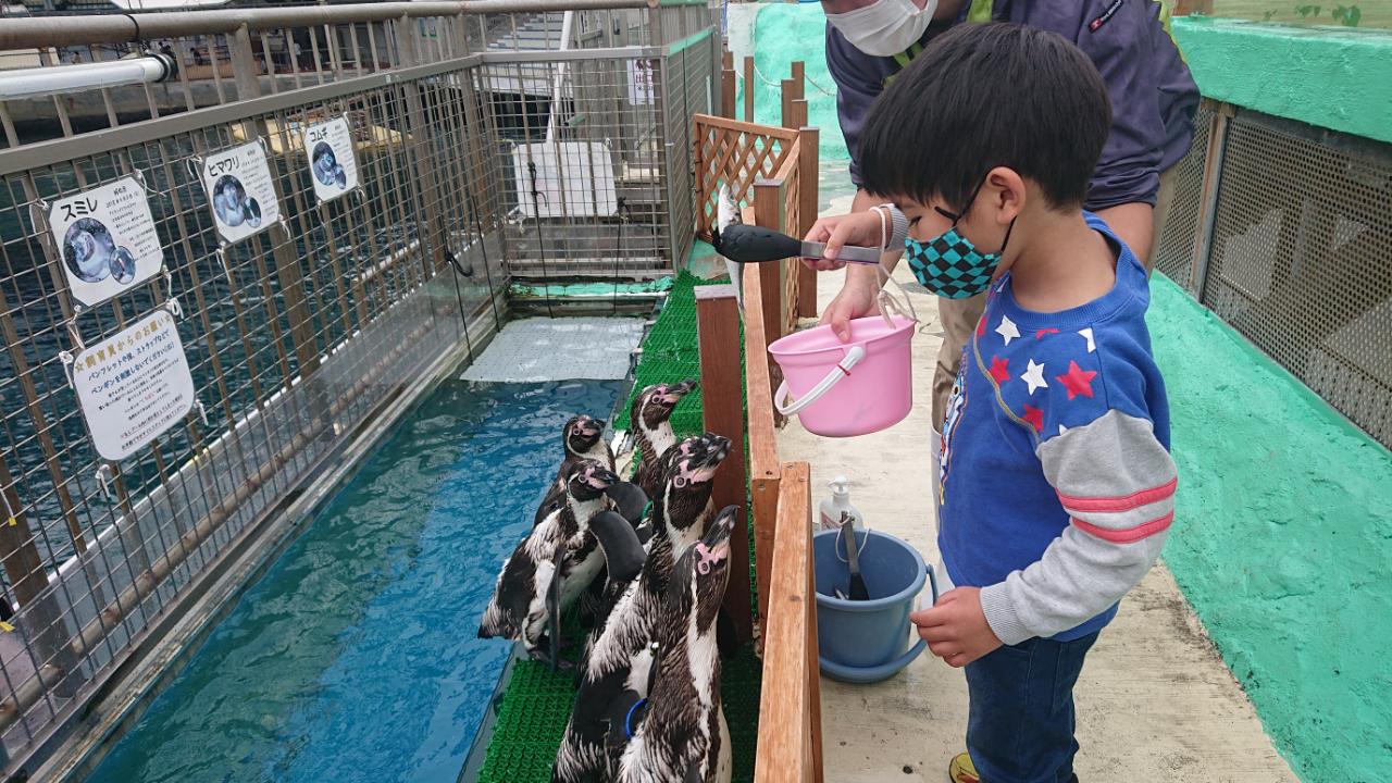 Izu-Mitsu Sea Paradise Enjoy as many visits as you want with an Annual Passport!