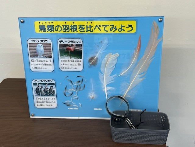 20240701chigai
