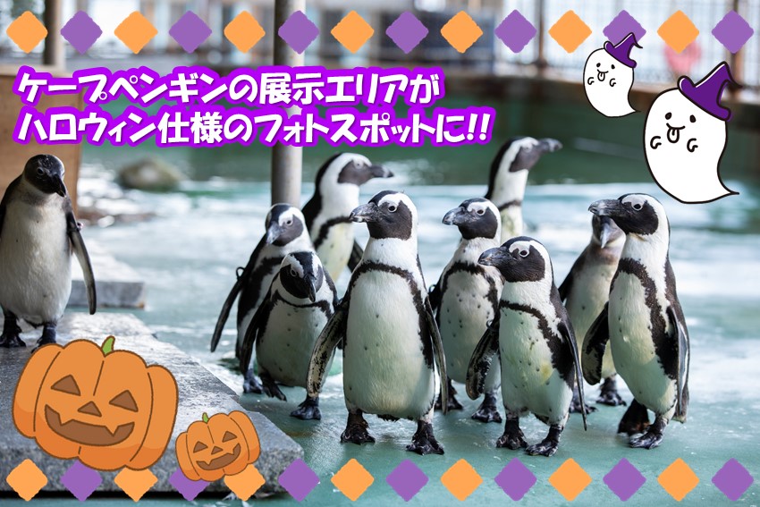 20240923halloween4