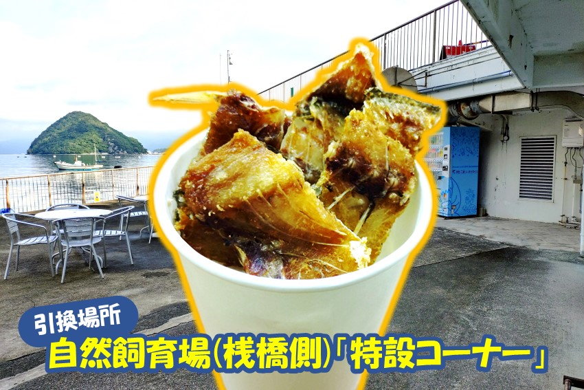 20241021iisakana_suage