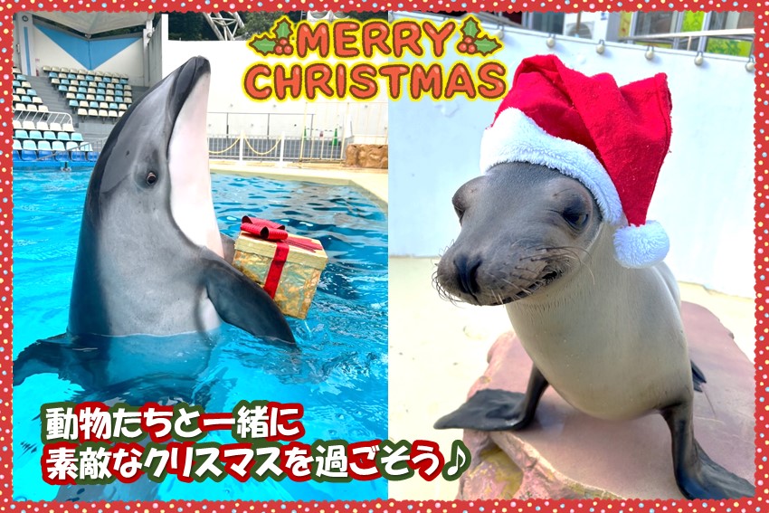 20241120christmas3