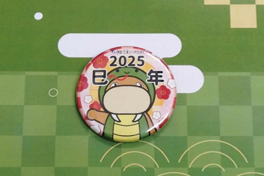 20241220hatumitosea1