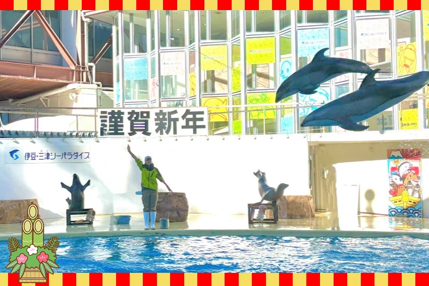 20241220hatumitosea2