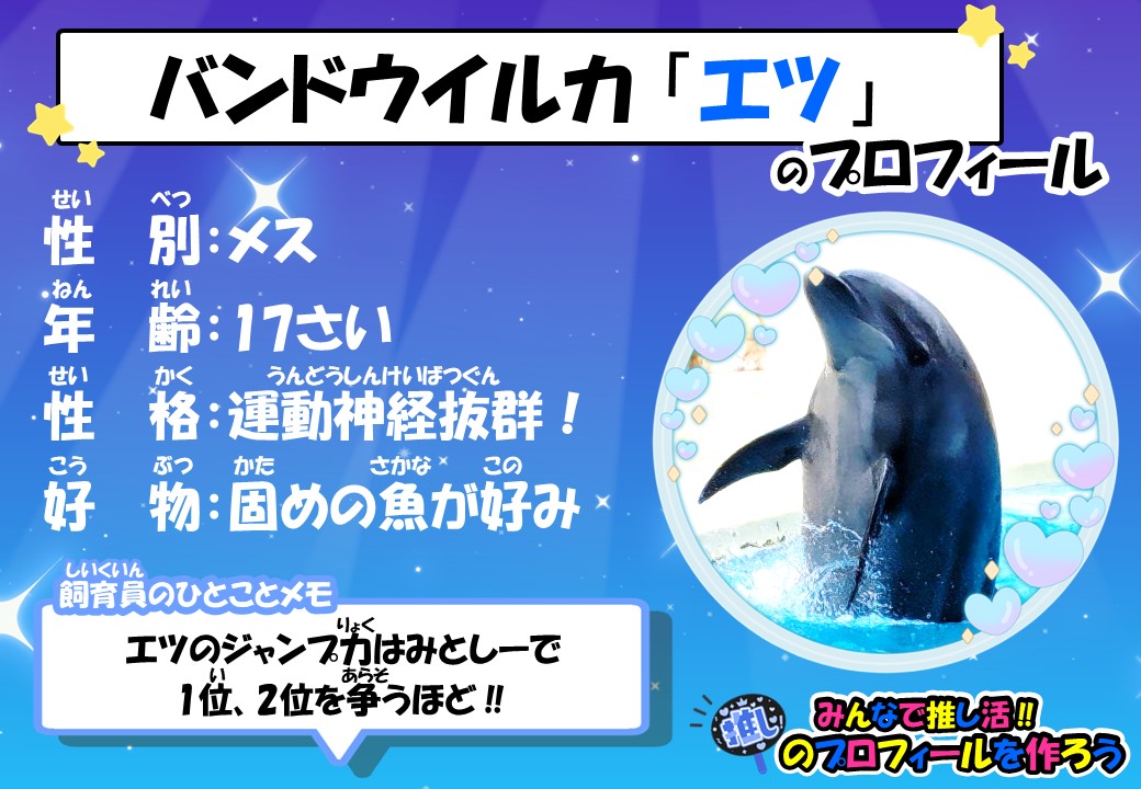 イルカ 8月のイルカ救助活動について | えのすいトリーター日誌 | 新江ノ島水族館