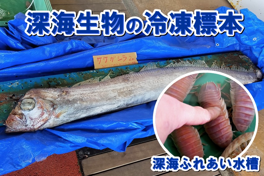 20250128fureru3_1