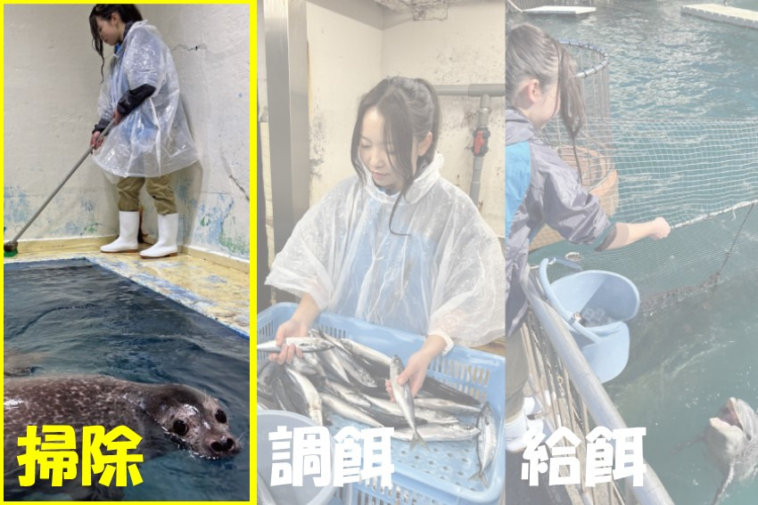 202504asobu_event3