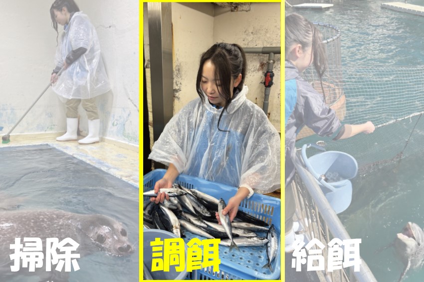 202505asobu_event3