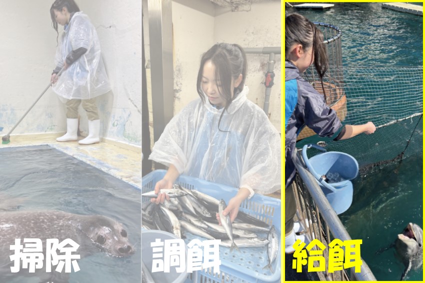 202506asobu_event4
