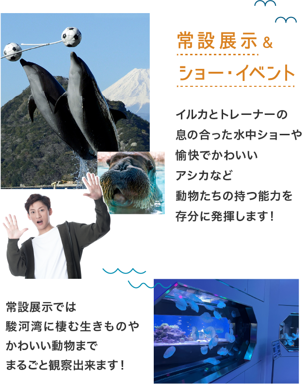 2025_plan1_parts9