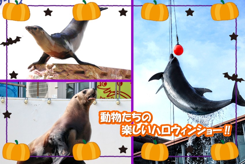 20250917halloween.2