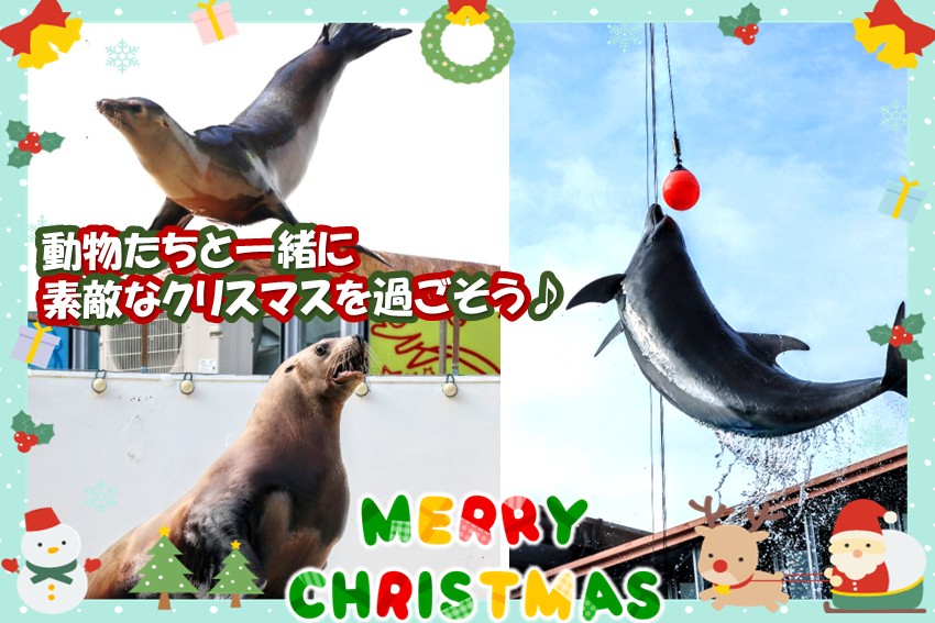 20251121christmas_show