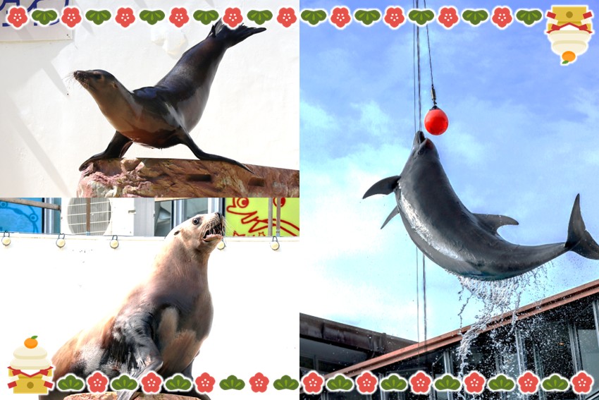 20251212_2026hatumitosi-2-