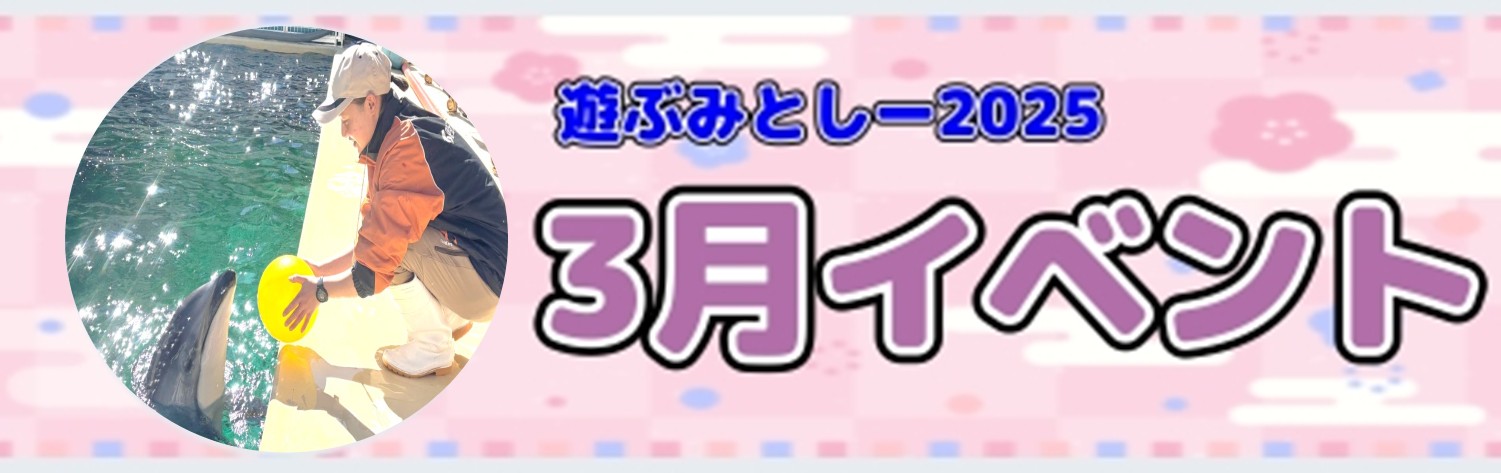 20260206_3gatueventbana