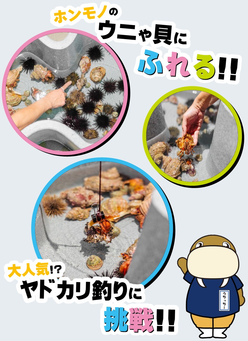 20260313isoasobox_syousai