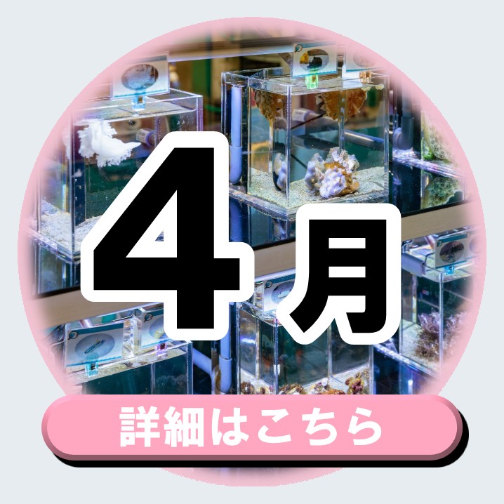 20260315manabu4gatu_bana