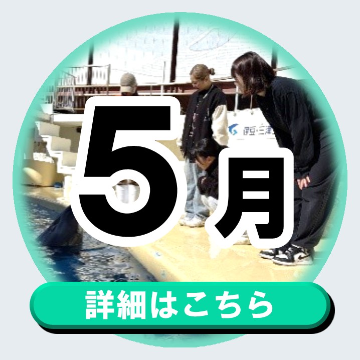 20260315manabu5gatu_bana