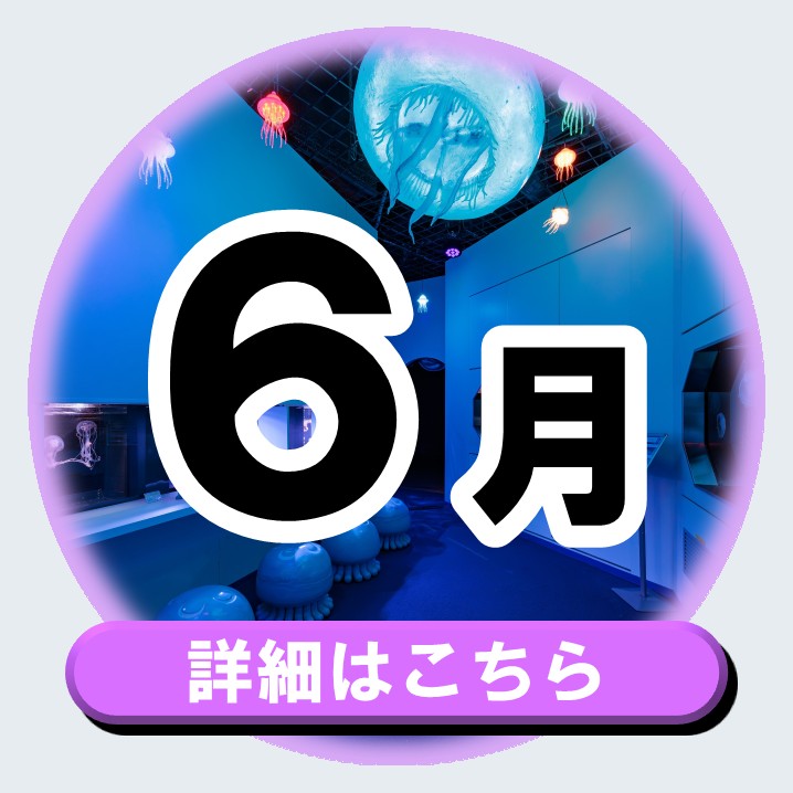 20260315manabu6gatu_bana