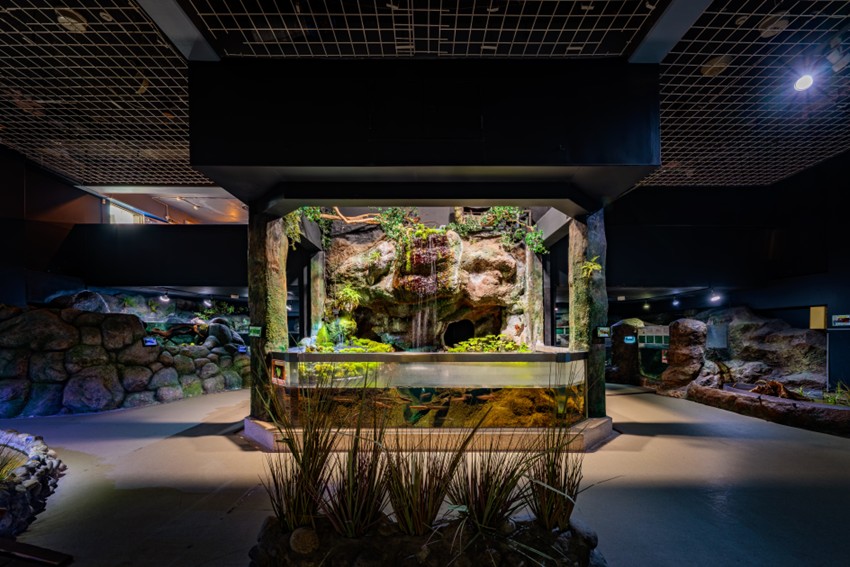 20260324manabu5event_2