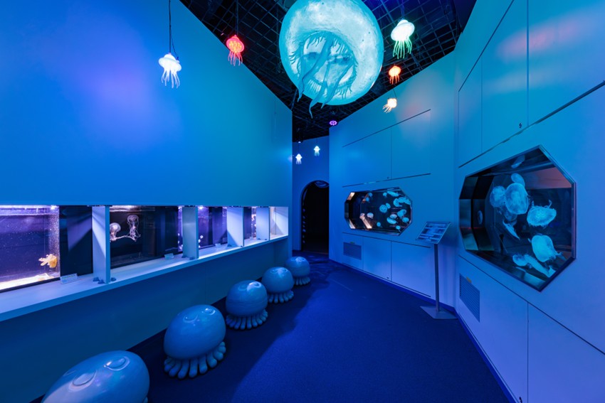 20260324manabu6event_2