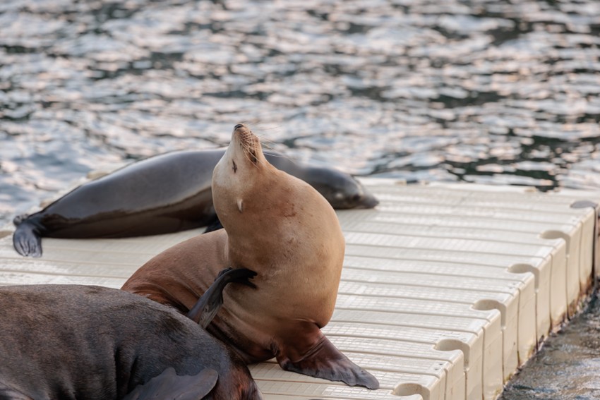 20260324manabu4event_1