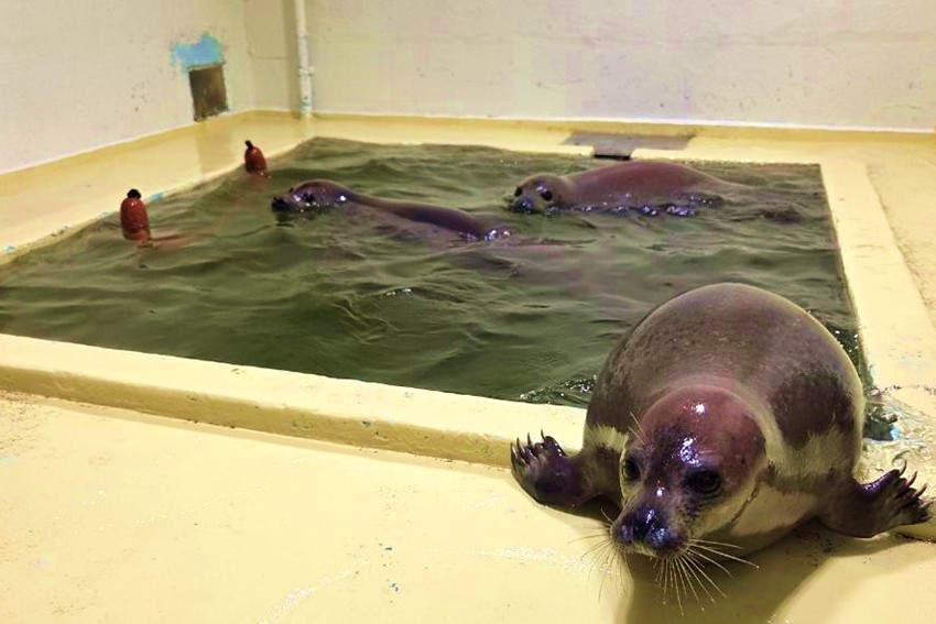 20260324manabu5event_1