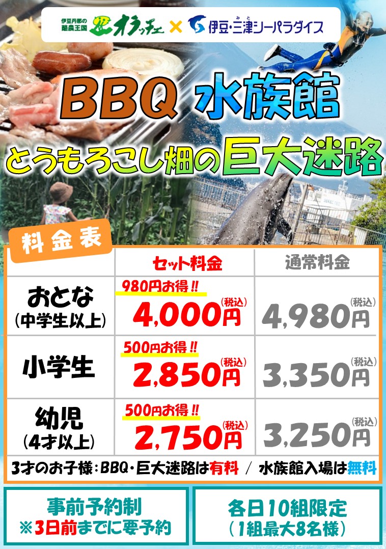 20260722oracche_summre