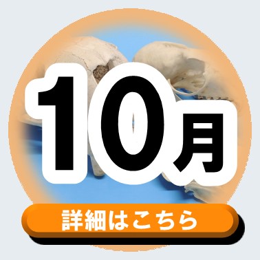 20260908_10gatubana