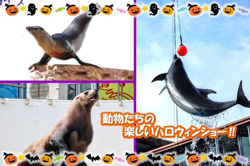20260930halloween2026_event2