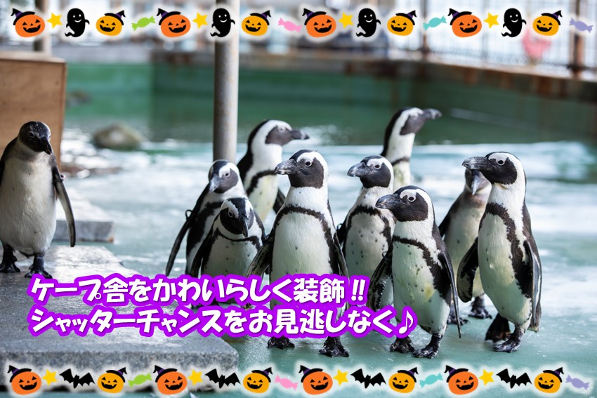 20260930halloween2026_event3