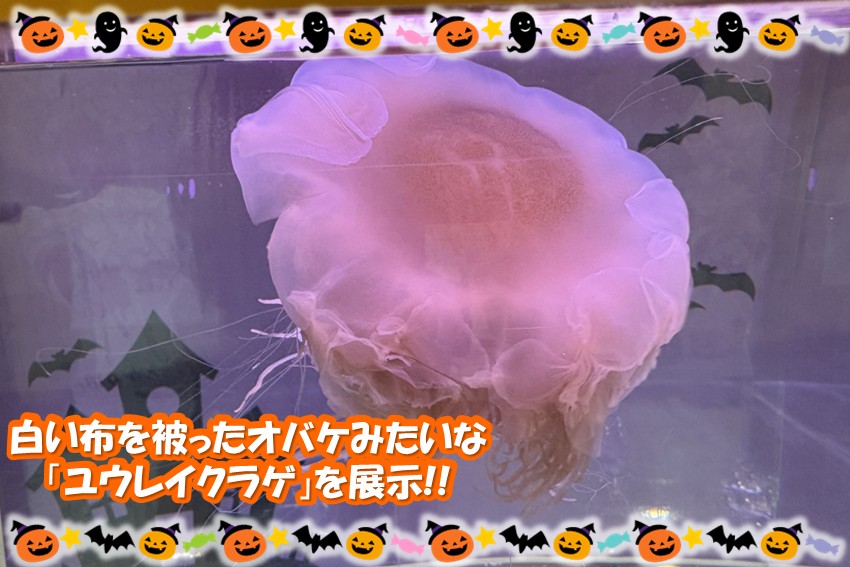 20260930halloween2026_event4
