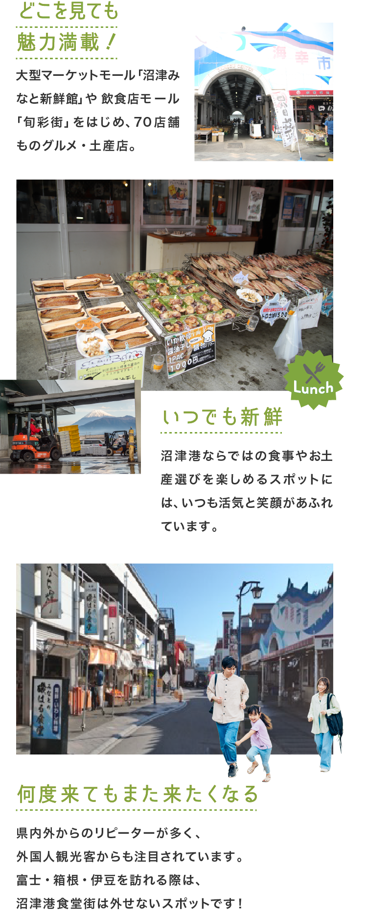 plan4_parts7